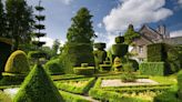 How to get picture-perfect topiary in time for garden-party season