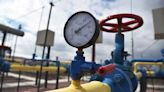 Bolivia anunció el descubrimiento de un megapozo de gas natural - Diario Hoy En la noticia