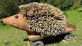 Truro's famous hedgehog visits Chelsea Flower show