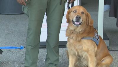 Sunny sworn in as new Franklin County Sheriff's Office therapy dog