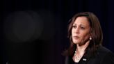 Kamala Harris brought flowers to John McCain monument to honor him | Fact check