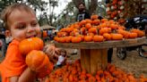 For Halloween fun in Tampa Bay, this will be a big weekend