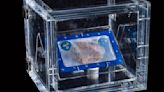 DoubleTree by Hilton Chocolate Chip Cookie – First Food Ever Baked in Space – Touches Down in New Display at the Smithsonian