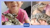 4-year-old Thai girl plays with over 200 baby crocodiles, sparks outrage among netizens