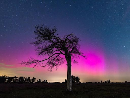 Shooting stars to light up Southampton sky tonight as meteor shower hits