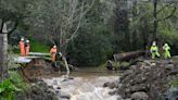 Flooding fears along California creek: 'I've never seen the water like this'