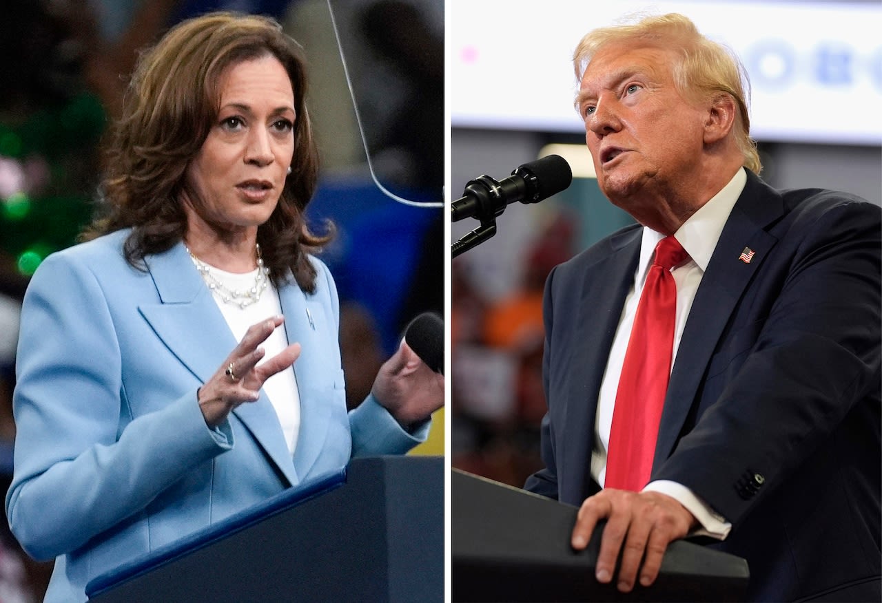 Harris vs. Trump: Presidential election ‘Nostradamus’ with perfect 40-year record picks winner