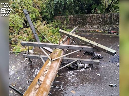 又是桃園！「蛇攀高壓電＋風雨樹倒」停電 4690戶受影響