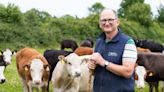 ‘Going organic isn’t about saving the world, it’s a good business decision’ – how this Offaly beef farmer has made the switch work for him