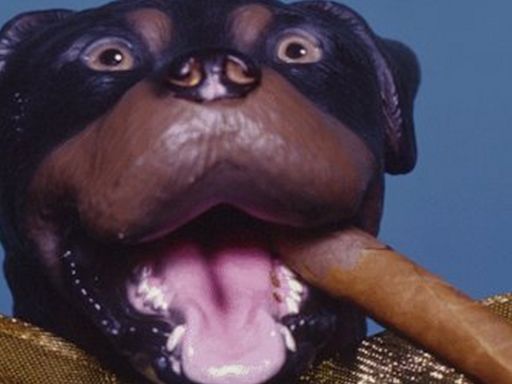 Triumph The Insult Comic Dog Comes To The Den Theatre