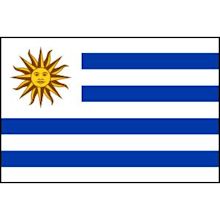 Uruguay national football team