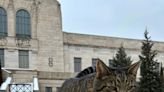 Nebraska's "Capitol Cat" brings paw-sitivity to politics