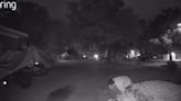 Mobile police seek suspect in alleged lawn equipment theft (video)