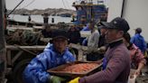 Chinese fishing crews navigate troubled waters as tensions with Taiwan flare