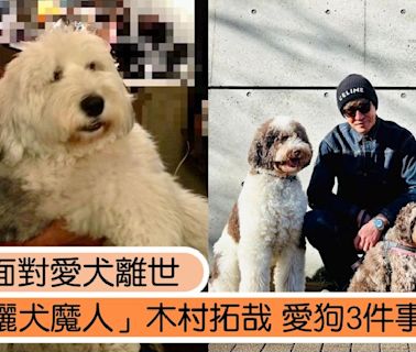 木村拓哉再度面對愛犬離世，回顧男神愛狗3件事：不是在遛狗，就是在遛狗路上