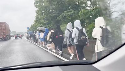 國道驚見「學生排隊淋雨走路」！30多人背書包走路肩 真相曝光