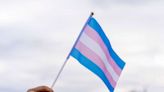 Transgender youth care ban moved forward by Florida medical board committee