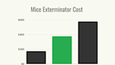 How Much Does a Mice Exterminator Cost?