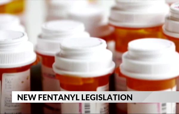 Senator Amy Klobuchar addresses the ongoing fentanyl crisis