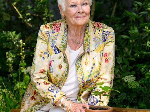 Judi Dench Hints At Retirement Due To Worsening Vision