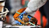 Whole Foods' decision to pull Maine lobster sparks outcry among elected officials, lobster industry