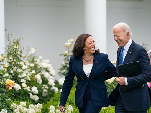 Kamala Harris Takes Over From Joe Biden — Here's Her Stance On India