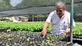 Michoacán plantará 10 millones de árboles en zonas afectadas