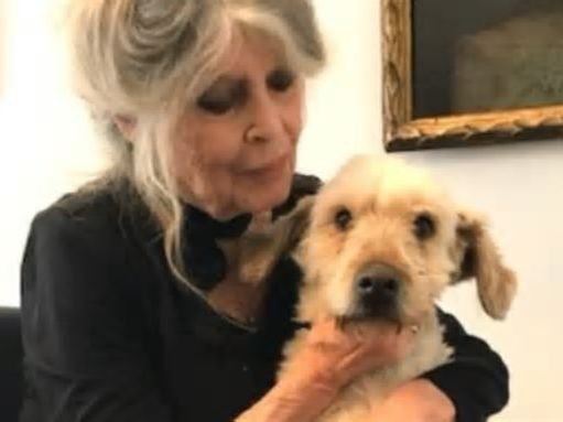 Brigitte Bardot, morto il suo cagnolino ET: «Devastata dal dolore, era la mia ombra»