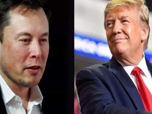 US presidential election 2024: How Elon Musk chose Trump - Times of India