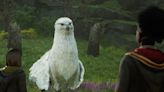 Exclusive clip from 'Hogwarts Legacy' recalls Harry's first meeting with Buckbeak the hippogriff