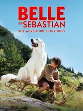 Belle et Sébastien : l'aventure continue