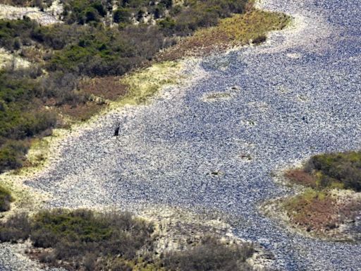 Rep. Buddy Carter rails against federal ‘propaganda’ over proposed mine near Okefenokee Swamp