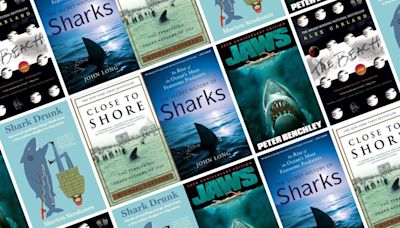 The 23 Best Shark Books of All Time