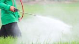 Pesticides in our food supply are causing a worldwide decline in sperm count, study shows