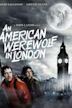 An American Werewolf in London