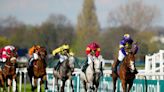 Grand National betting guide: Every horse rated and ranked for the Aintree showpiece