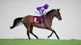 Magical's first foal ready to rumble for O'Brien and Moore at the Curragh