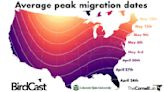 Bird migration takes flight over Jacksonville