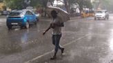 Tamil Nadu Weather: Vilupuram Receives 18 CM Rain; Heavy Rain Alert For Several Districts For Next 5 Days