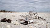 How did Hurricane Ian affect 'Seashell Capital of the World'? Experts talk of Ian's impacts