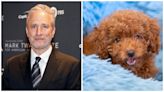 ‘Daily Show’ unleashes dog adoption and voter registration effort: ‘InDogCision 2024’