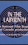 In the Labyrinth (film)