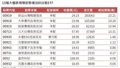 10檔越跌越買ETF 00919最受青睞