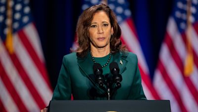 Abortion, LBTQ+, climate change: How do Kamala Harris' policies conflict with Florida law?