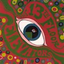 Psychedelic Sounds of the 13th Floor Elevators