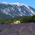 Provence