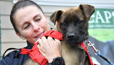 PHOTOS: LAPS 2nd golf tourney finds homes for adoptable dogs