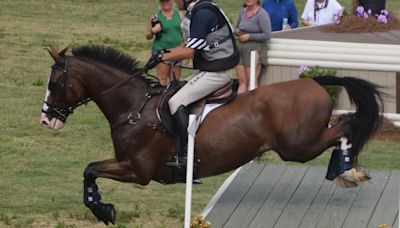 Aiken's horse: Fedarman B carries on Annie Goodwin's Olympic dream