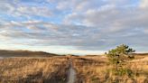 A short Cape Cod hike that has it all: Dunes, harbor, art and awesome sunsets