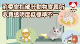 消委會指動物寄養所收費透明度低 調查指計算狗隻重量收費標準不一